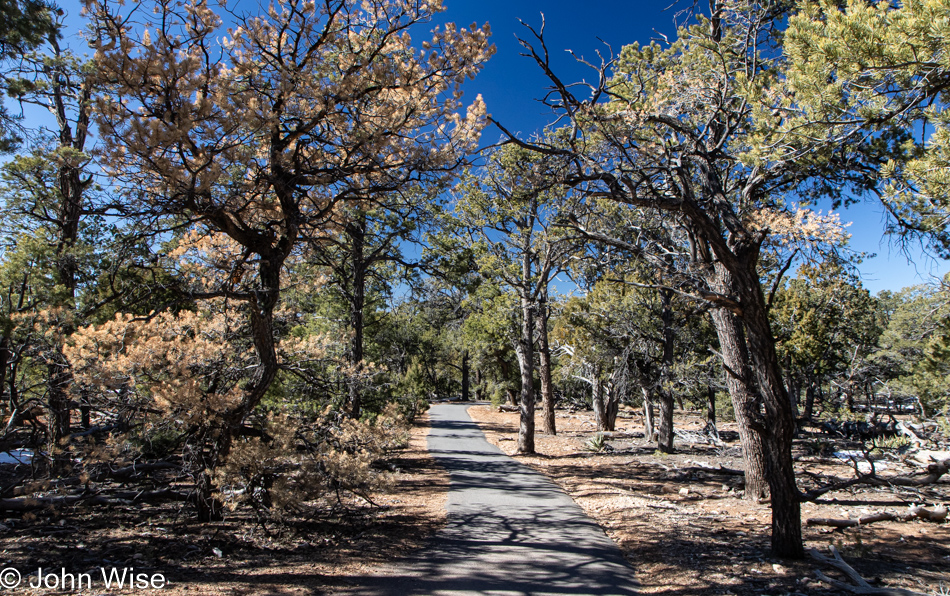 Grand Canyon National Park, Arizona