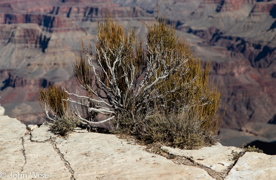 Grand Canyon National Park, Arizona