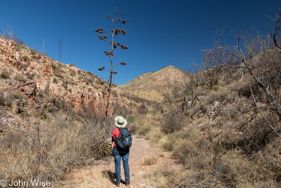 Caroline Wise at Leslie Canyon National Wildlife Refuge in Cochise Country, Arizona