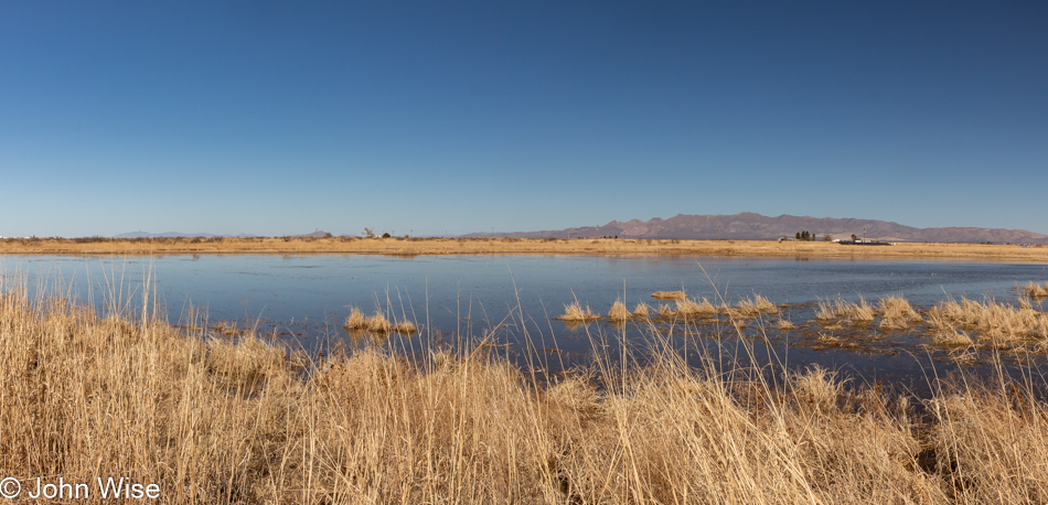 Whitewater Draw in McNeal, Arizona