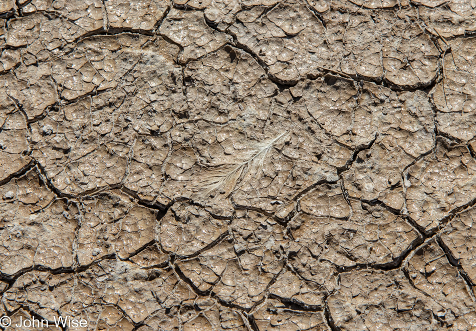 Willcox Playa in Willcox, Arizona