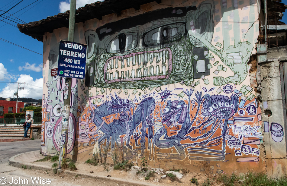 Mural in San Cristóbal de las Casas, Mexico