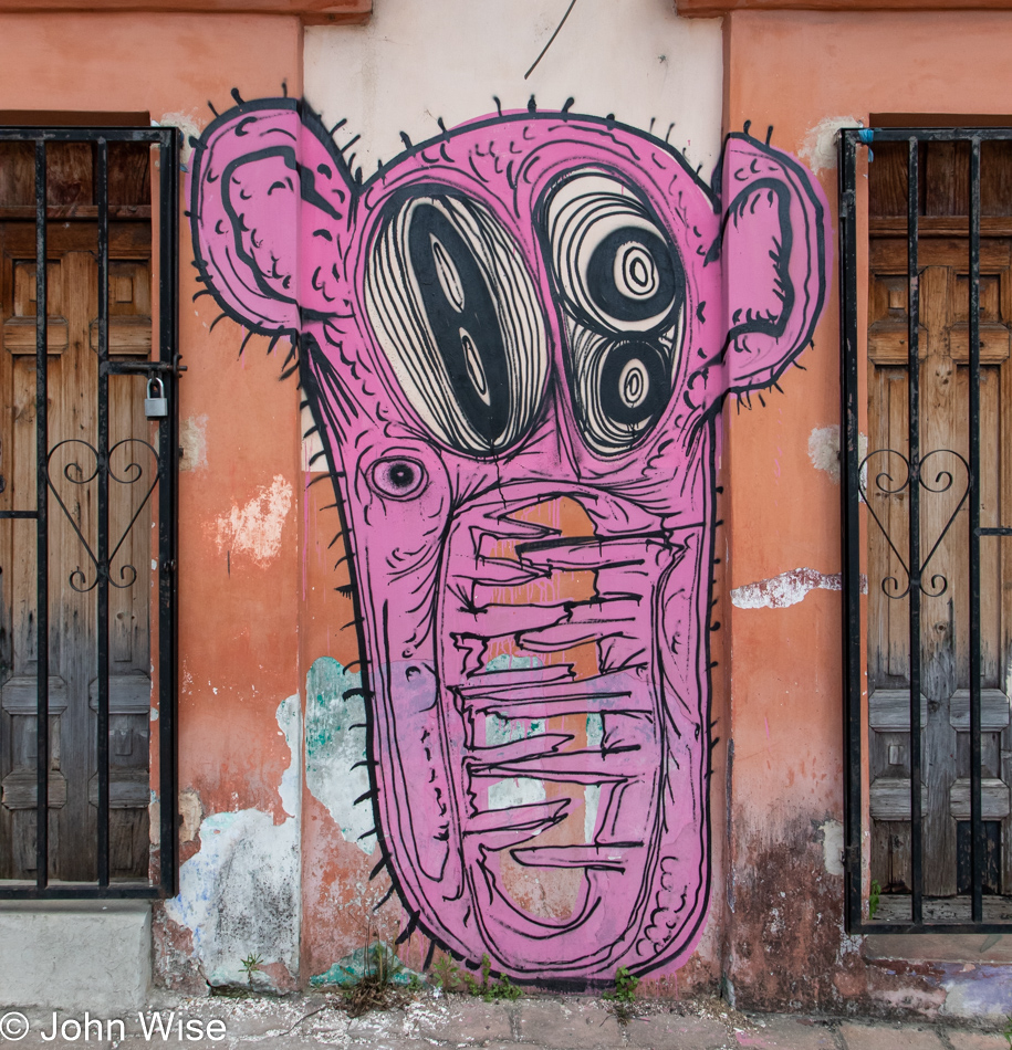 Mural in San Cristóbal de las Casas, Mexico