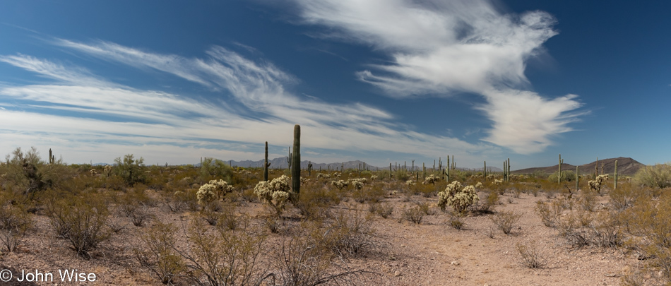 Organ Pipe Cactus National Monument in Ajo, Arizona