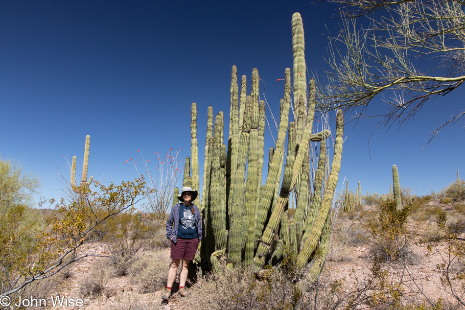 Caroline Wise at Organ Pipe Cactus National Monument in Ajo, Arizona