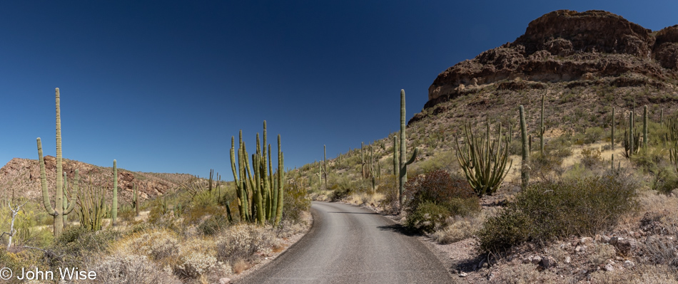 Organ Pipe Cactus National Monument in Ajo, Arizona