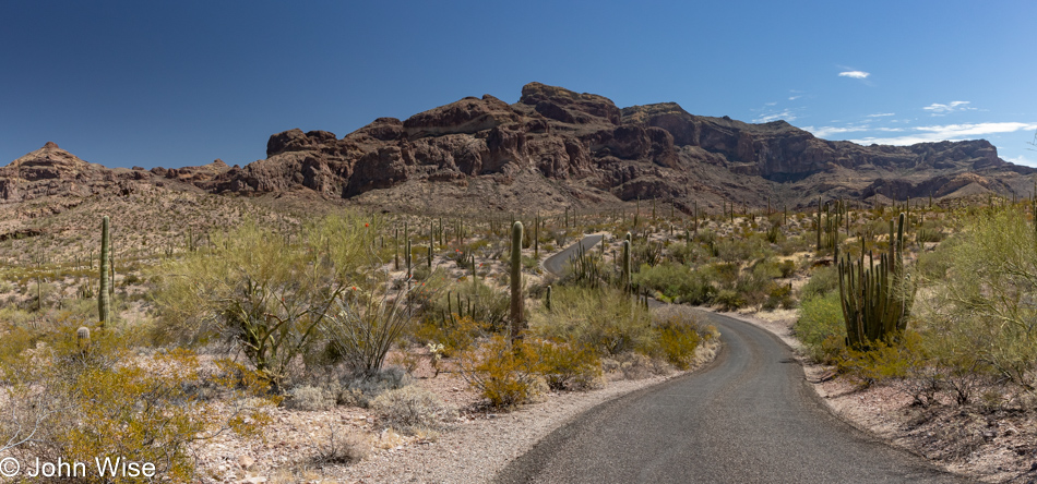 Organ Pipe Cactus National Monument in Ajo, Arizona