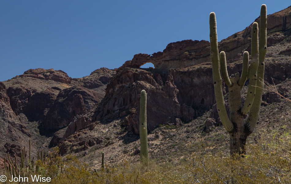 Organ Pipe Cactus National Monument in Ajo, Arizona