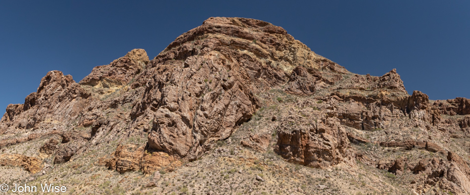 Organ Pipe Cactus National Monument in Ajo, Arizona