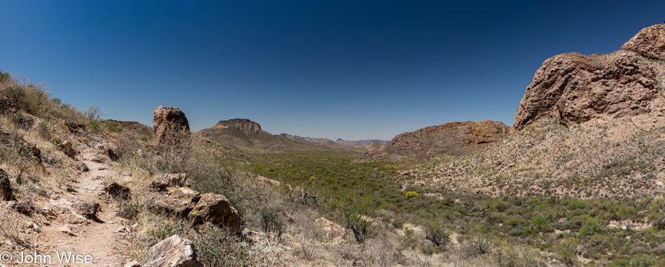 Organ Pipe Cactus National Monument in Ajo, Arizona