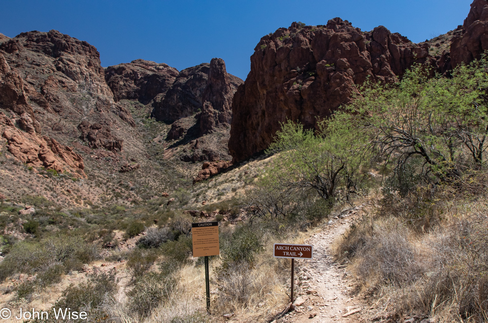 Organ Pipe Cactus National Monument in Ajo, Arizona