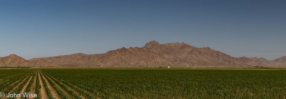 Old U.S. Highway 80 north of Gila Bend, Arizona