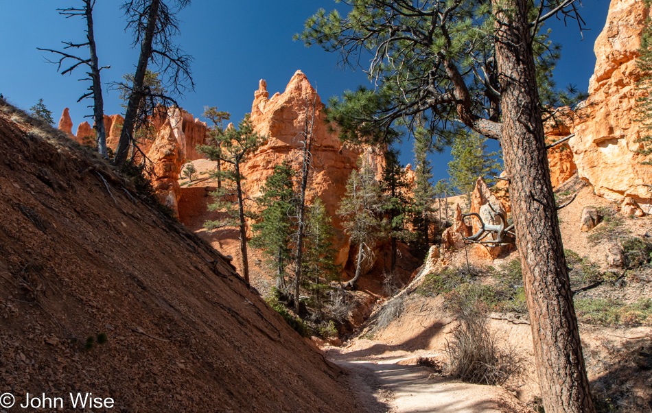 Bryce Canyon National Park in Utah