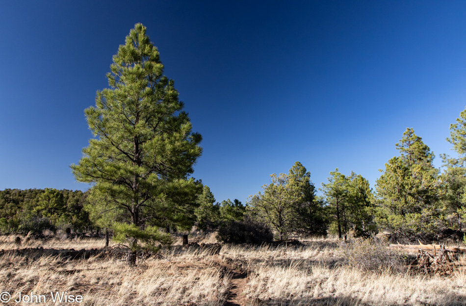 El Calderon Trail at El Malpais National Monument in New Mexico