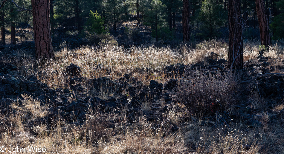 El Calderon Trail at El Malpais National Monument in New Mexico