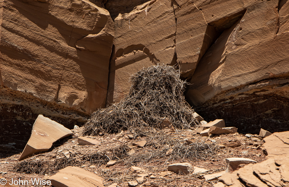 Homolovi State Park in Winslow, Arizona