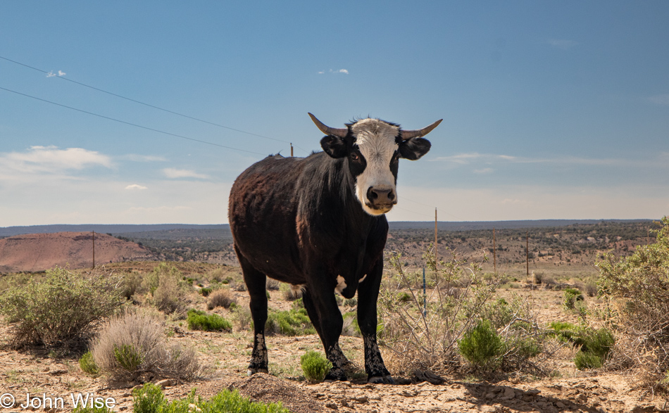 Somewhere between Indian Route 4 and Route 41 on Hopi Lands in Arizona