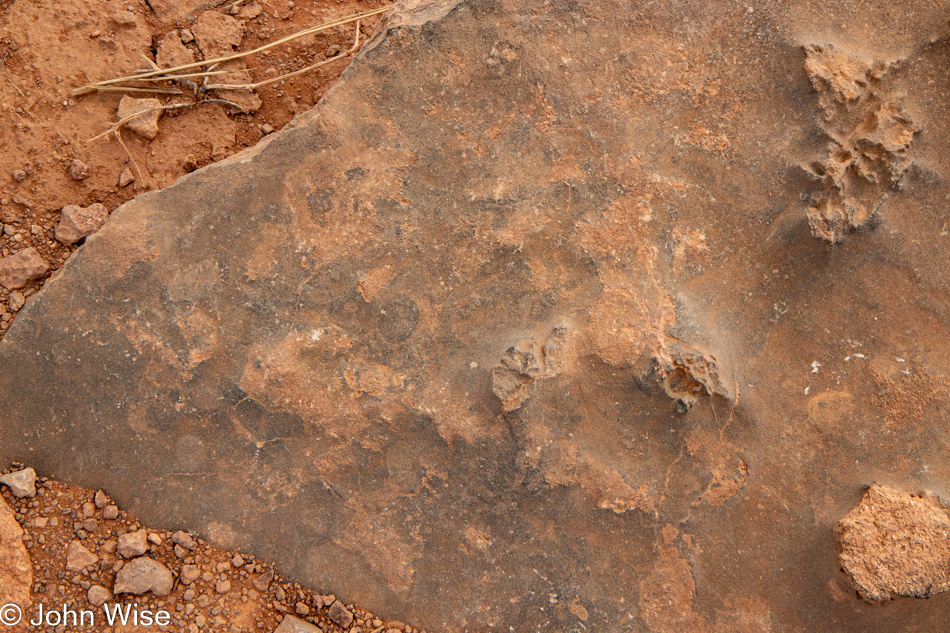 Goosenecks State Park in Mexican Hat, Utah