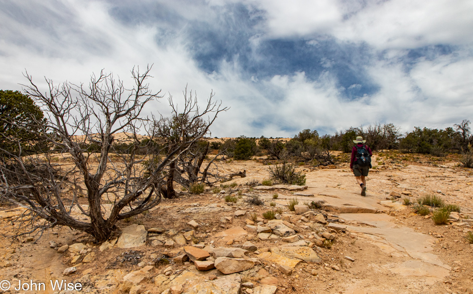 Butler Wash Anasazi Ruins Trail in Bears Ears National Monument, Utah