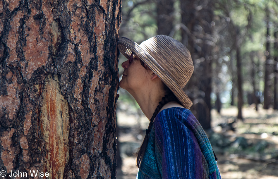 Caroline Wise at the Arboretum in Flagstaff, Arizona