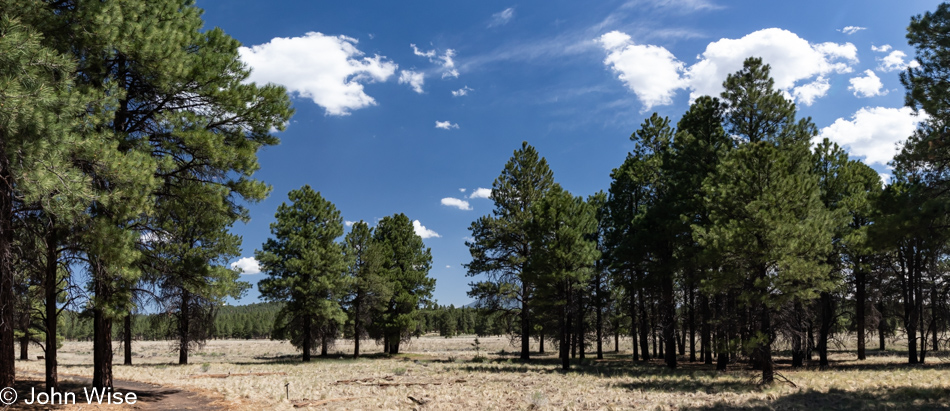 Arboretum in Flagstaff, Arizona