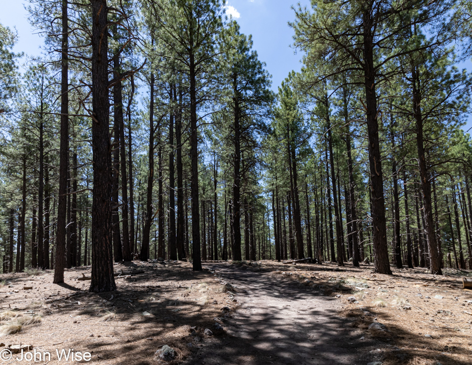 Arboretum in Flagstaff, Arizona