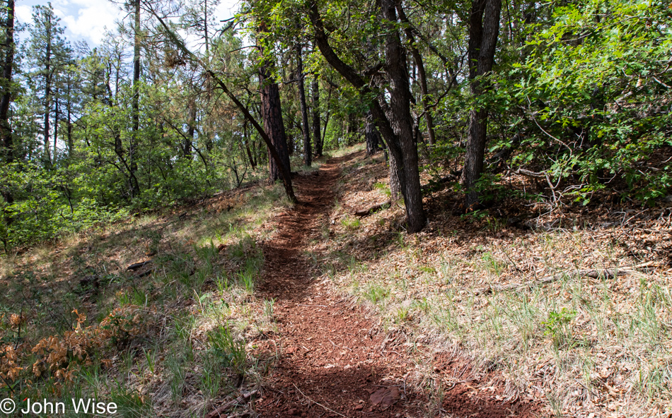 Sycamore Rim Trail in Williams, Arizona