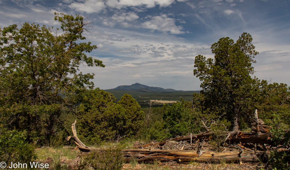 Sycamore Rim Trail in Williams, Arizona