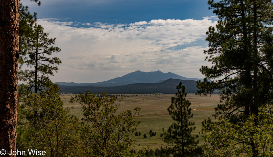 Sycamore Rim Trail in Williams, Arizona