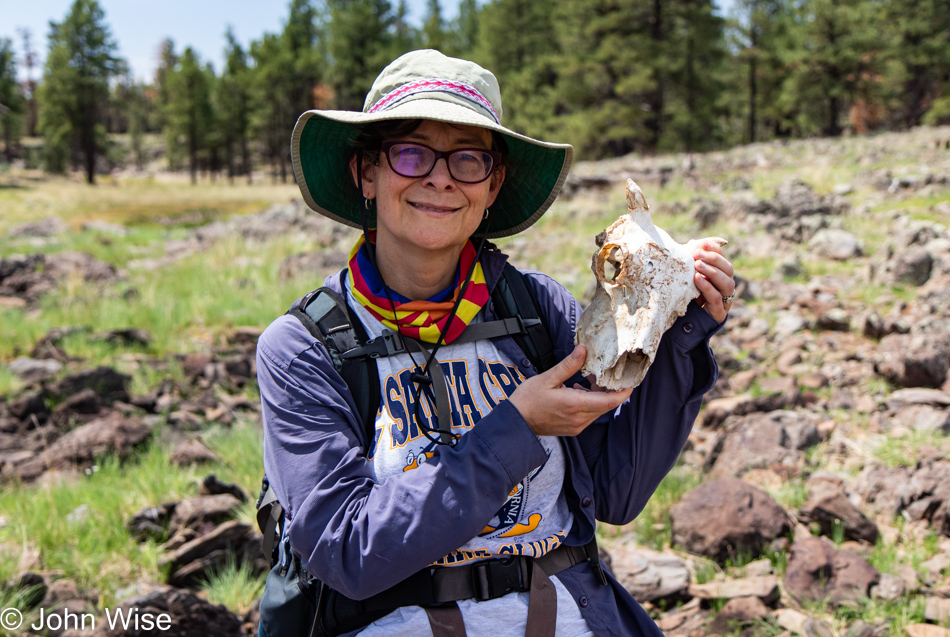 Caroline Wise on the Sycamore Rim Trail in Williams, Arizona