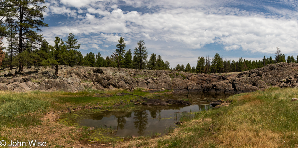 Sycamore Rim Trail in Williams, Arizona