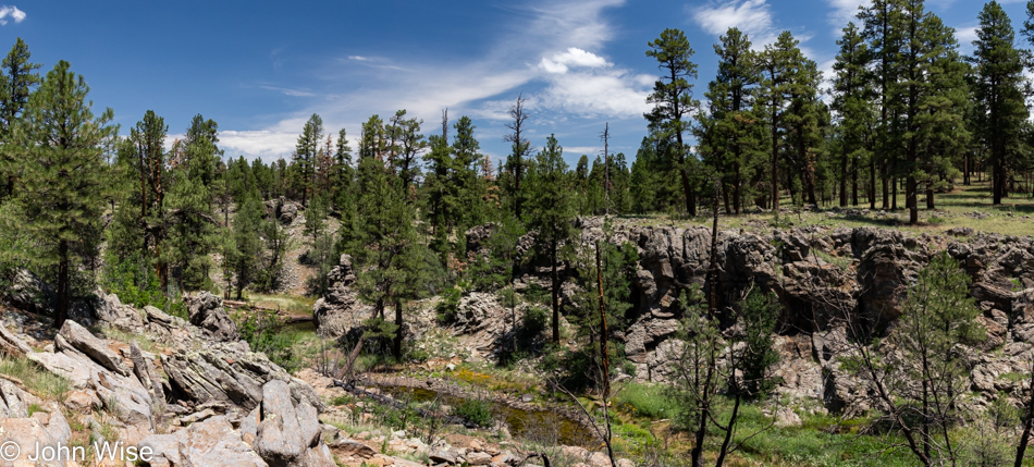 Sycamore Rim Trail in Williams, Arizona