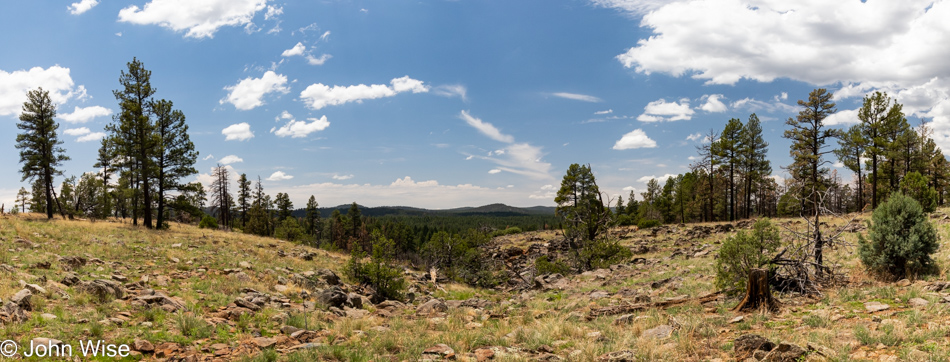 Sycamore Rim Trail in Williams, Arizona