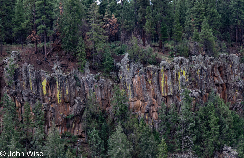 Sycamore Rim Trail in Williams, Arizona