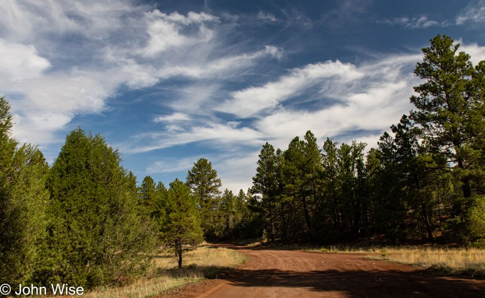 Walnut Creek via AZT Walnut Canyon in Flagstaff, Arizona