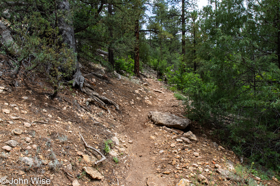 Walnut Creek via AZT Walnut Canyon in Flagstaff, Arizona