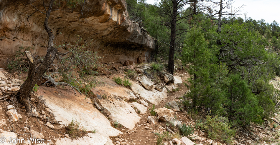 Walnut Creek via AZT Walnut Canyon in Flagstaff, Arizona