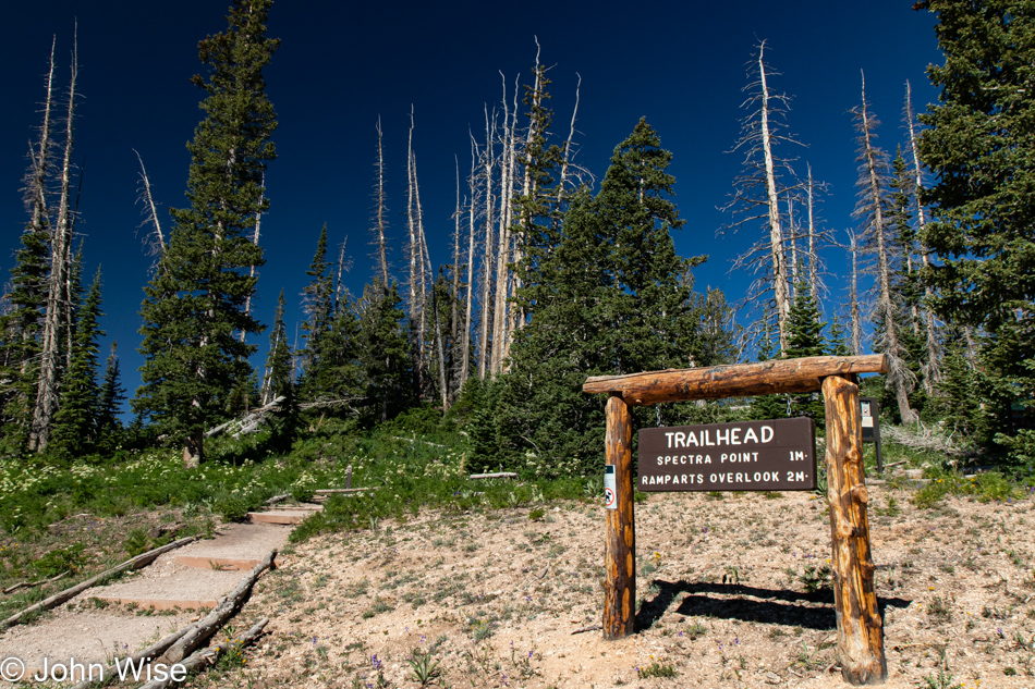 Near the Spectra Point Trail at Cedar Breaks National Monument in Utah