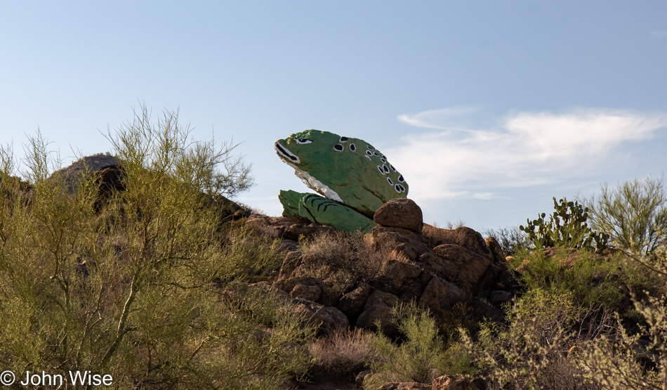 Frog Rock near Congress, Arizona