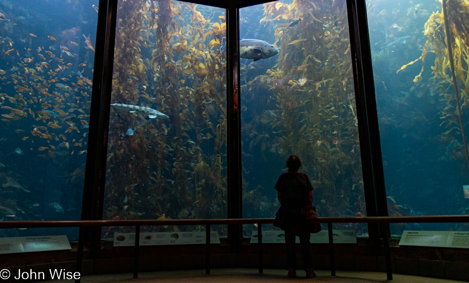 Caroline Wise at the Monterey Bay Aquarium in Monterey, California