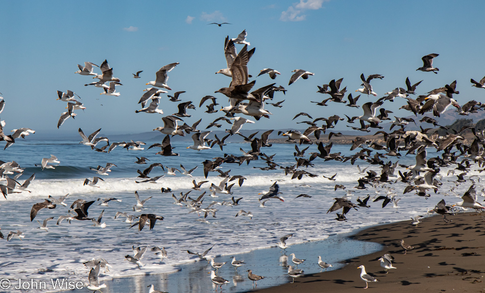 Cambria, California