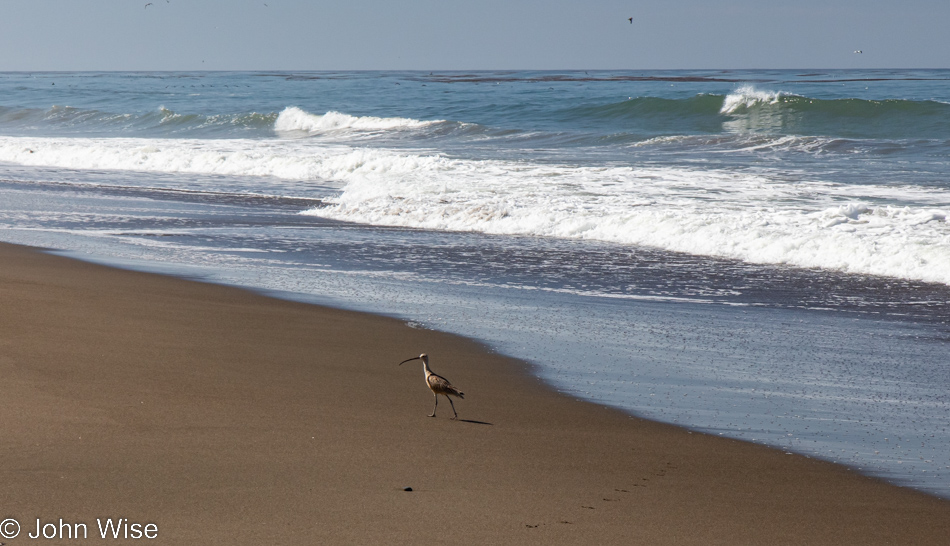 Cambria, California