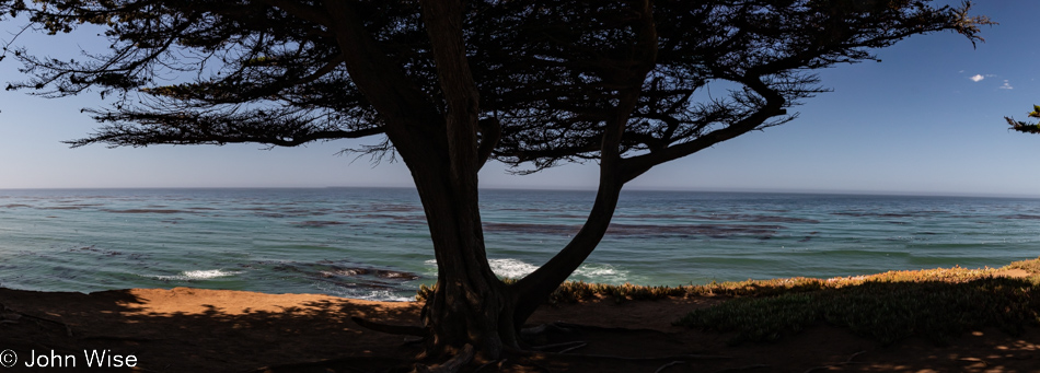 Cambria, California