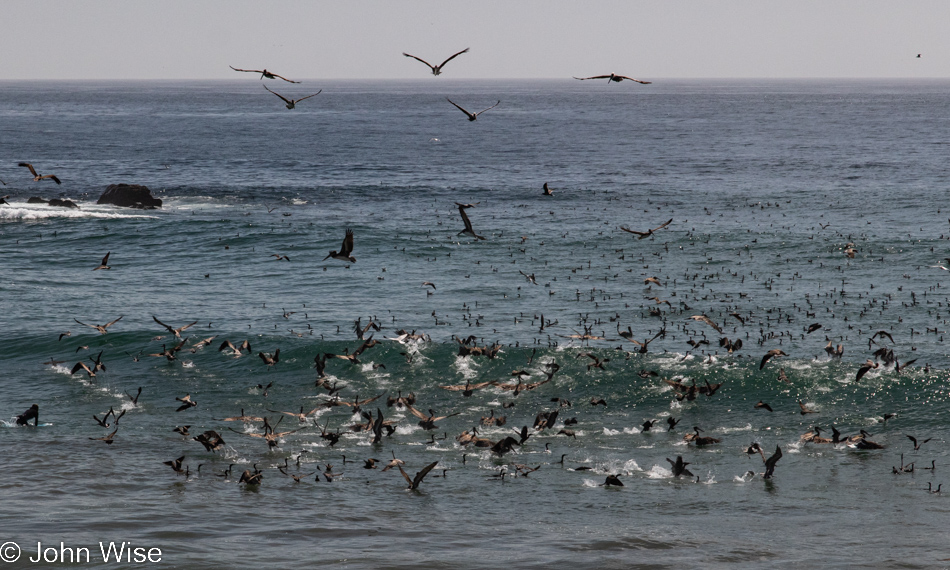 Cambria, California