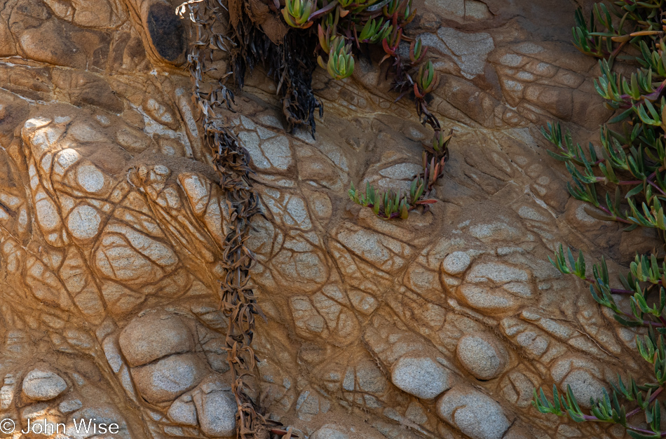 Cambria, California