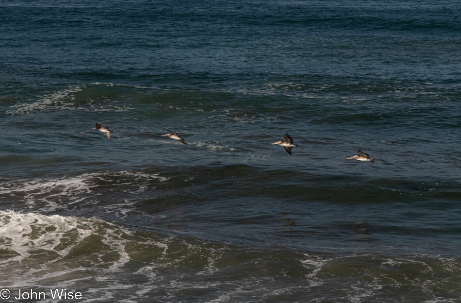 Cambria, California