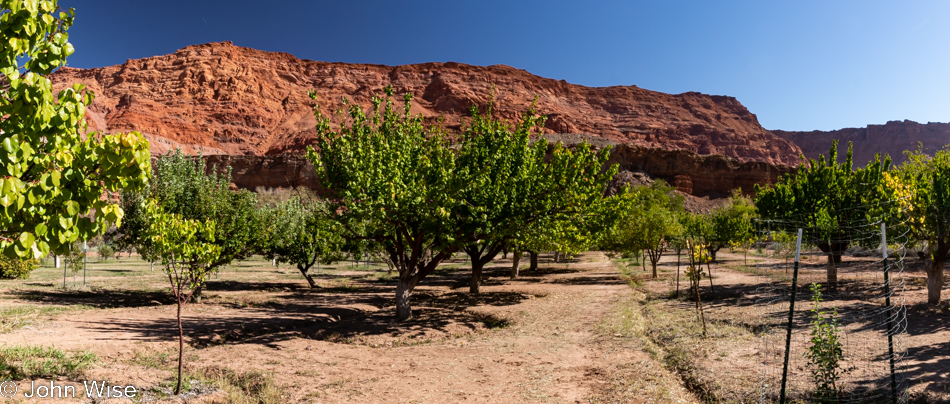 Orchard at Lonely Dell Ranch part of the Glen Canyon National Recreation Area in Arizona