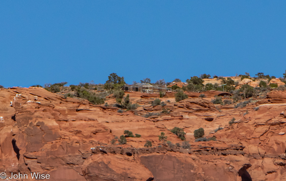 Condor release area at the Vermilion Cliffs National Monument in Arizona