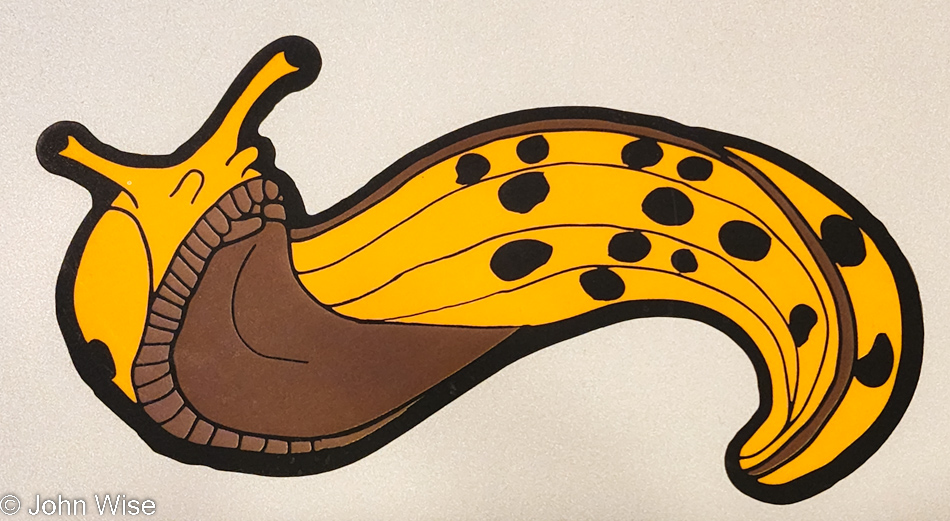 Banana Slug Sticker