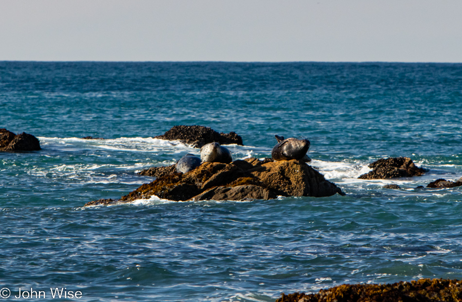 Mill Beach in Brookings, Oregon